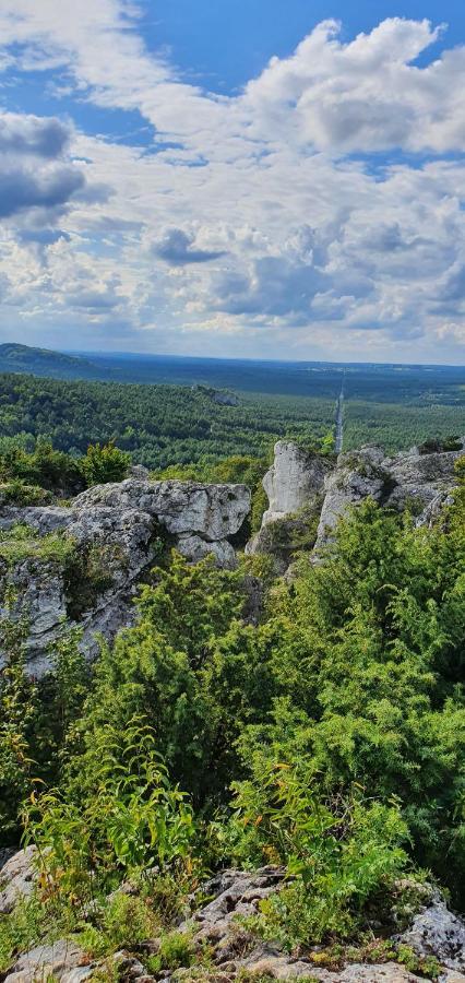 Villa Skalny Widok Hucisko  Esterno foto