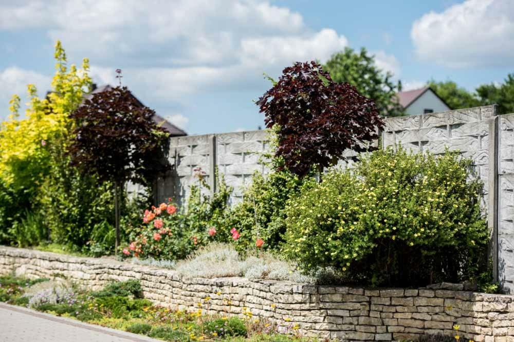 Villa Skalny Widok Hucisko  Esterno foto